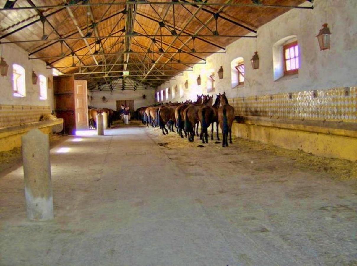 6 Persoons Vakantiewoning Portugal - Casa Do Balao - En - Casa Pequeno Pintor Figueira e Barros 외부 사진