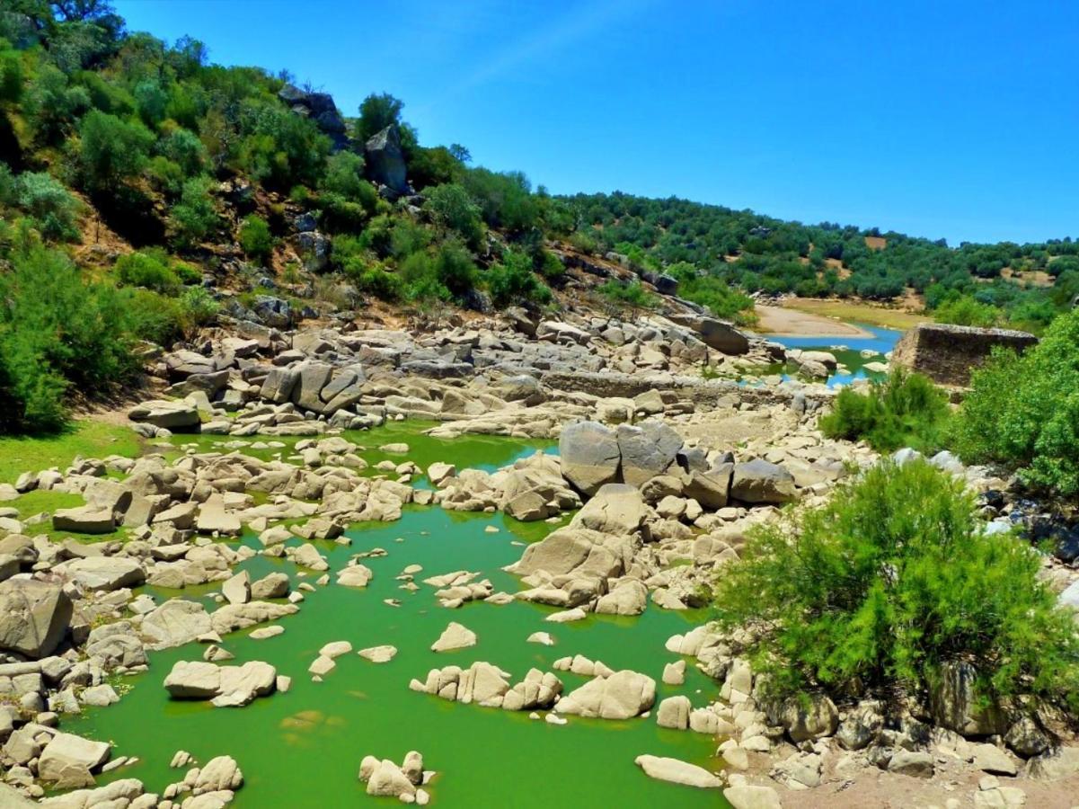 6 Persoons Vakantiewoning Portugal - Casa Do Balao - En - Casa Pequeno Pintor Figueira e Barros 외부 사진